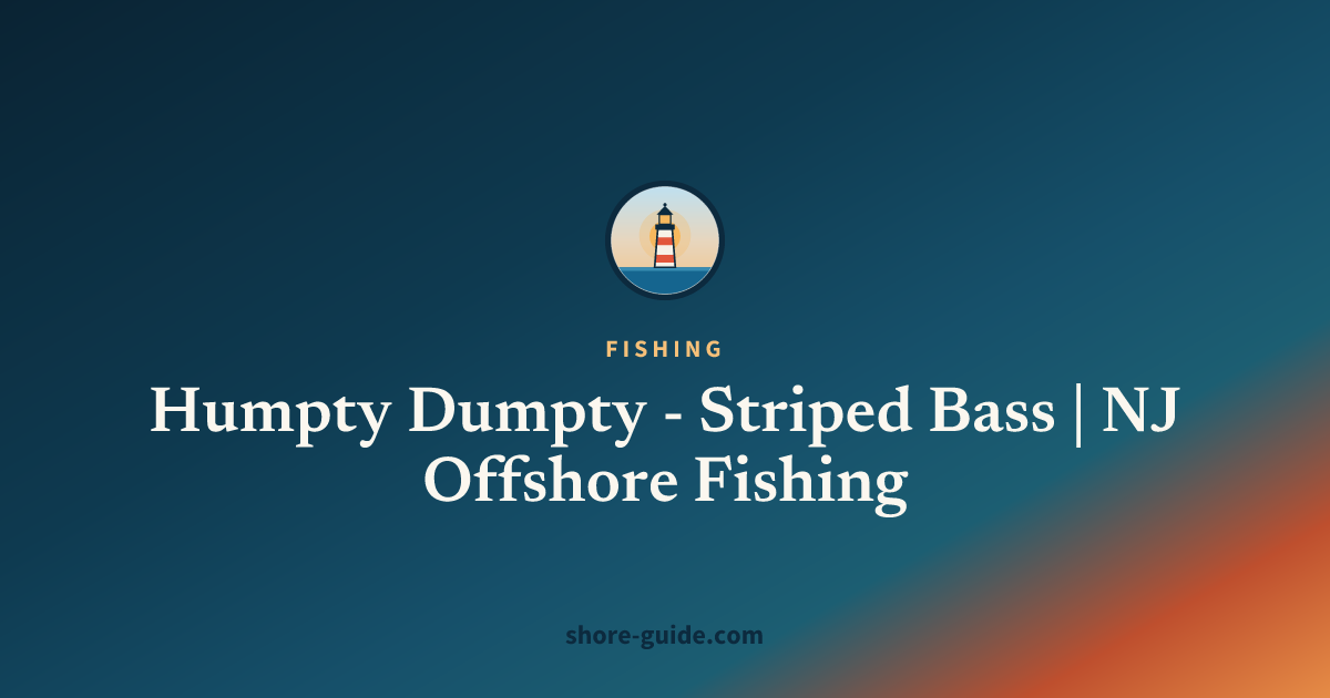 Humpty Dumpty - Striped Bass | NJ Offshore Fishing